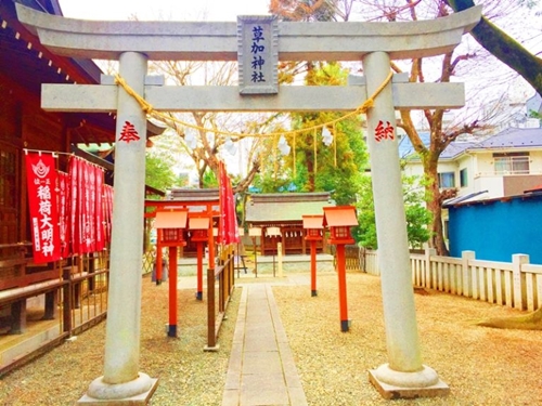 草加神社11
